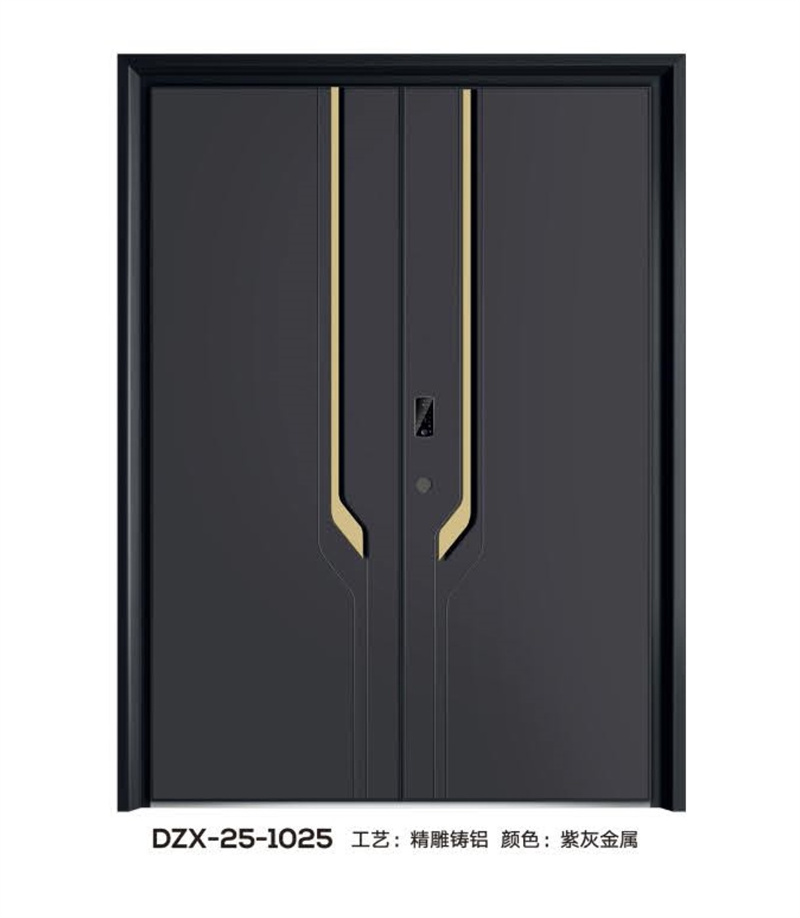 DZX-25-1025(图1)